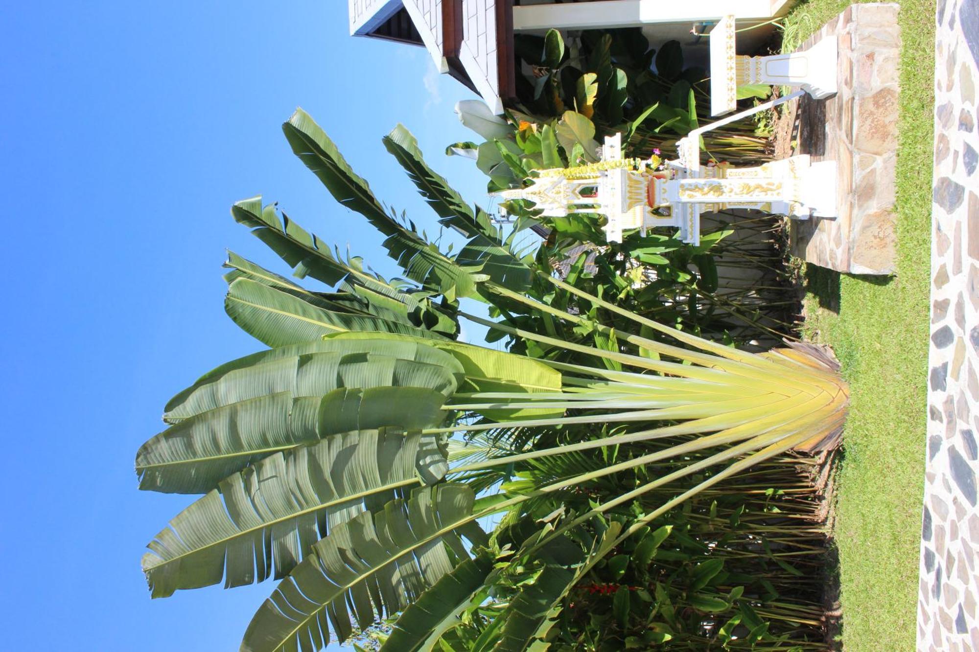 Villa Colina Khao Lak Rooms And Bungalows - Adults Only Exterior photo